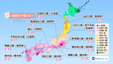 桜開花トップは東京で3/20、開花時期は広範囲で平年並の予想
