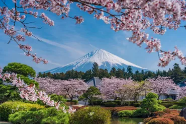 桜特集2025】この春行きたい!日本全国の桜名所・お花見スポットまとめ