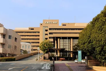 70代夫婦が宝塚市に250億円を寄付、市立病院の建設資金 手術支援ロボ購入で3億9470万円も同時に