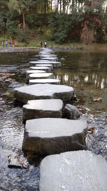 旅の記録 嵐山渓谷