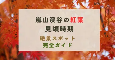 嵐山渓谷の紅葉2024年の見頃時期と楽しみ方!混雑回避のコツも
