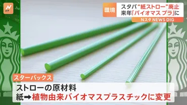 スターバックス「紙ストロー」廃止へ 来年1月から順次 植物由来「バイオマスプラスチック」に