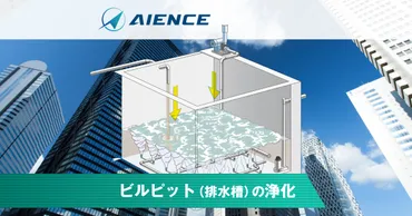下水道管の劣化による道路陥没の原因と対策