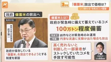 コメ価格なぜ下がらない?「備蓄米」放出で価格は? いつ終わる゛令和のコメ騒動゛【Nスタ解説】