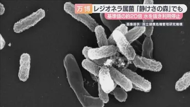 万博ウォータープラザに続き「静けさの森」でも 基準値の約２０倍のレジオネラ属菌 水抜き利用停止（ABCニュース） 