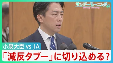 減反廃止」は長年のタブー 小泉大臣vsJAの゛再戦゛の行方は不透明 ゛減反゛主張もどうなるコメ価格と農家の未来【サンデーモーニング】 