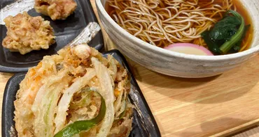 かき揚げそばは゛たてかけ゛で@「小諸そば 富国生命ビル店」/BSフジ「日本一ふつうで美味しい植野食堂 by dancyu」から