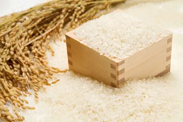 備蓄米制度とは? 安定した食料供給を支える仕組みについて解説