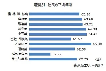 企業の高齢化問題：日本の未来を左右する？高齢化する経営者たち：現状と課題