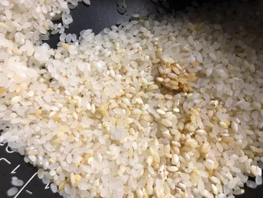 お米にカビが生える条件とは
