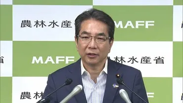 備蓄米をより早く消費者へ 農水省がスーパーや町の精米店に優先枠 買い戻しは原則5年以内に延長し流通量確保へ