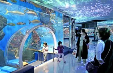 のとじま水族館20日から営業 当面、子どもは無料 〈能登半島地震から半年〉