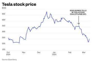 テスラ株の暴落を予測した投資家が、2025年にテスラの株価が回復することはないと考える理由