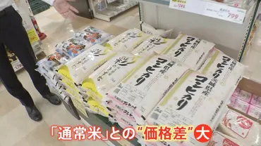 小泉大臣「コメ流通はブラックボックス」 卸売業者は「真実を別の方向に向かせている」…備蓄米放出で価格どうなる