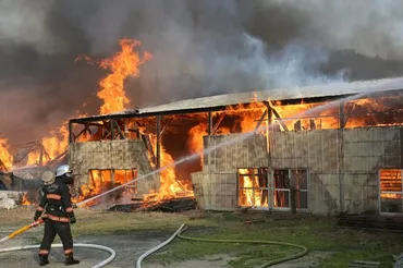 強風で火の粉飛ぶ愛媛・今治の山火事 数棟に延焼 岡山も鎮圧せず:朝日新聞