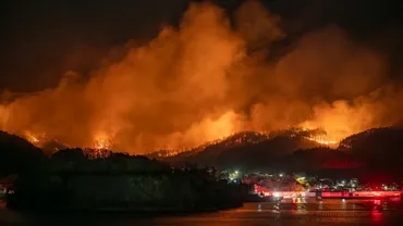 大船渡、今治、岡山…相次ぐ大規模山林火災 「山火事の原因」の6割《人為的要因》とは何か? たき火で「絶対やっていけないこと」とは?