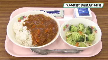 コメの価格高騰で学校給食にも影響 給食費値上げに宇都宮市は補助(とちテレニュース)