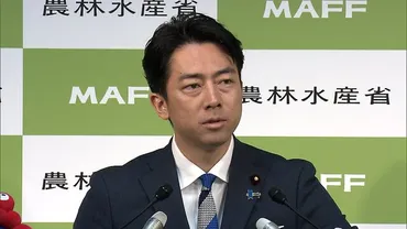 物議】「米の流通は複雑怪奇」小泉農水相が゛爆弾発言゛…米卸の営業利益暴露に元JA幹部「中間マージン高くとることない」(FNNプライムオンライン)