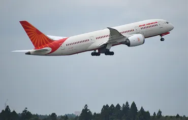 エア・インディア171便墜落事故とは？ボーイング787の安全性への疑問と今後の課題(？マーク)エア・インディア171便墜落事故の全貌：ボーイング787の安全性は？