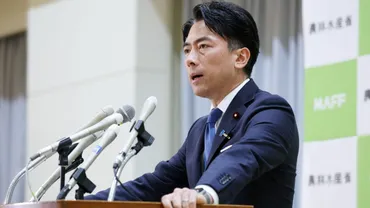 備蓄米放出か、小泉大臣やるじゃん」「JAはもう解体しちゃえ!」は非常にマズい考えだ…。小泉大臣「備蓄米放出」騒動に抱く゛危うさ゛の正体
