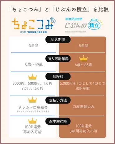 保険なんて無駄という人こそ使うべき生命保険 じぶんの積立の活用