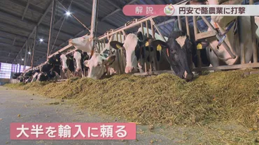 解説】円安で暮らしへの影響は?青果高騰で「国産」需要高まる…酪農業はコスト高騰で打撃 香川