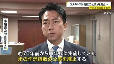 小泉農水大臣 約70年続く「コメの作況指数」公表廃止を表明 毎年の出来具合など示す指標 「実態に合わなくなってきた」