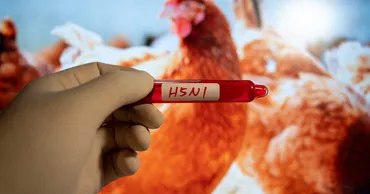 乳牛からヒトへの鳥インフルエンザウイルス感染が米国で確認された ヒトからヒトへの感染どうなる?