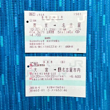 列車が運休・遅延の場合キャンセル料がかからないって本当?JRきっぷの取り扱いや払いもどしを徹底解説