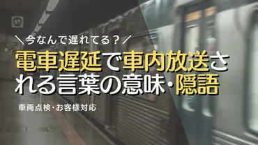 電車の遅延で車内放送される言葉の意味・隠語:車両点検・お客様対応