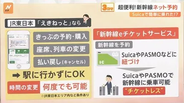 みどりの窓口」なぜ並ぶ?券売機でも座席・時間の変更、払い戻しも可能 ゛チケットレス乗車゛でホームや座席で待ち合わせも【Nスタ解説】