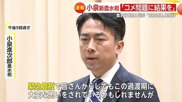 小泉農水相、コメ価格是正への挑戦！価格破壊は起こせる？コメ価格破壊への挑戦：小泉農水大臣の決意と課題