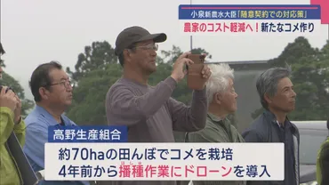 UX新潟テレビ21