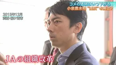 コメ担当大臣゛小泉新農水大臣、コメ不足認め「減反やめる」 農政のタブーに挑戦、過去の反発乗り越えられるか【サンデーモーニング】