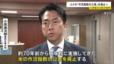 コメ統計の転換期：作況指数廃止と米の未来はどうなる？作況指数廃止へ：コメの安定供給と新たな統計手法への移行