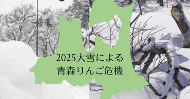 2025冬 大雪による青森りんごの危機