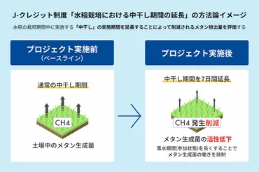 農業分野のJ-クレジット制度】中干し期間の延長による減収リスクを抑え、追加収入を得る方法