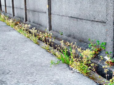 高槻市】震災から1年。大阪府北部地震から得た教訓「あべのタスカル」でパネル展示展も開催中。