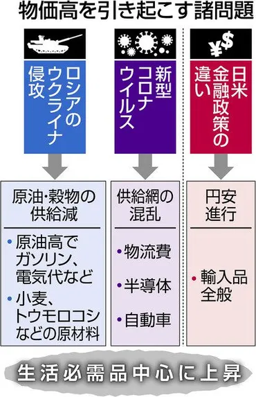 ウクライナ侵攻と新型コロナが生んだ物価高 超低金利政策で円安追い打ち、生活を直撃 参院選の大きな争点:東京新聞デジタル