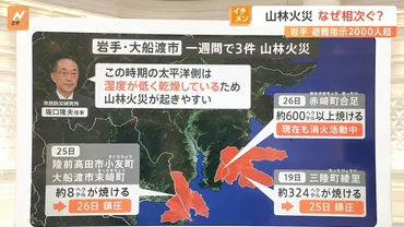 岩手・大船渡の山林火災 避難指示2000人以上、なぜ相次ぐ? 消火活動を阻む壁【Nスタ解説】