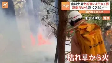 岩手県大船渡市の山林火災、その被害と復興への道のりとは？(火災, 支援, 復興？)大船渡市大規模山林火災の全貌