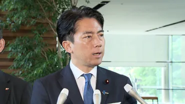 コメ価格高騰は誰のせい？小泉農水相の農業改革は成功する？（コメ、小泉進次郎、JA、減反政策）コメ価格高騰から見える日本の農業問題：小泉農水相の挑戦