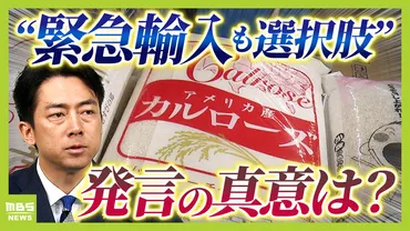 コメ価格めぐる゛小泉大臣とJAの綱引き゛備蓄米の次の一手は輸入米か...「緊急輸入も選択肢」発言の真意とは ゛聖域なくす゛コメ政策で価格は落ち着く？【解説】（MBSニュース）  