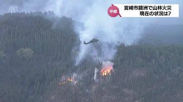 宮崎県鏡洲山林火災の全貌と教訓：拡大、避難、消火活動…？宮崎県鏡洲山林火災：避難指示と消火活動の現状