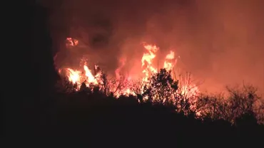 愛媛・今治市の山火事は鎮圧に至らず…今治市381人・西条市1506人に避難指示拡大 県は自衛隊に派遣要請