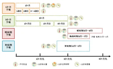 季節予報の種類と内容