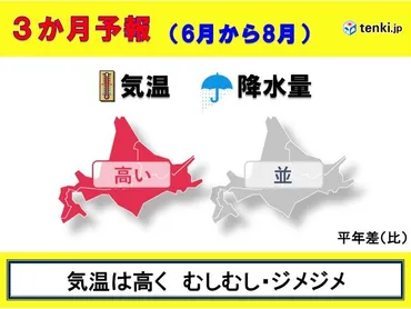 この夏の北海道 気温が高く むしむし・ジメジメ 3か月予報(気象予報士 佐藤 貴子 2025年05月20日)