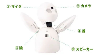 分身ロボットOriHimeとは？　活用事例と共生社会への貢献は？分身ロボットOriHimeが切り開く、新たな働き方と社会参加