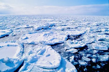 オホーツク海の流氷と冬のイベント情報！2025年の網走流氷まつりとは？2025年、網走・紋別・知床の流氷