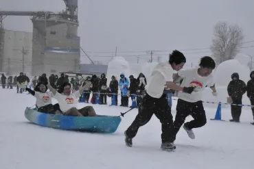 雪上でカヤック引き 網走で「オホーツク流氷まつり」開幕：北海道新聞デジタル